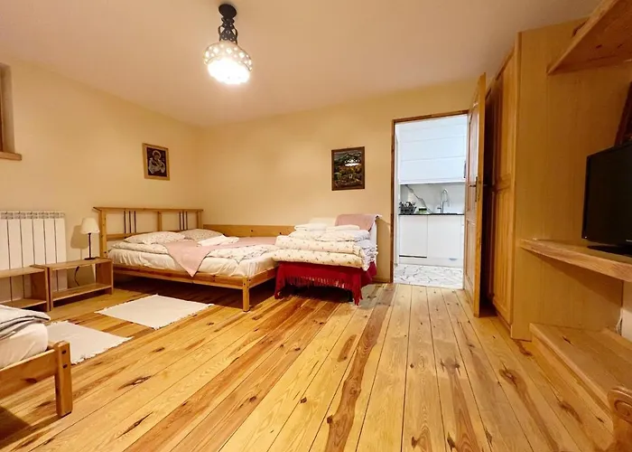 Rodzinny& Appartement Zakopane